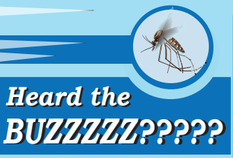 Mosquito Prevention
