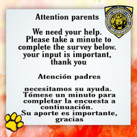 Survey/Encuesta